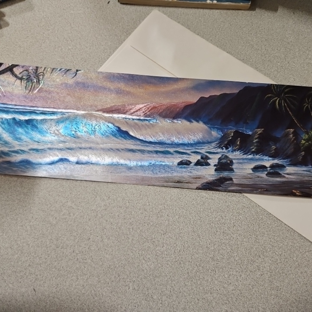 12X4 Long Post Cards X 2 Hawaii Ocean Life Shiny Gloss Finish W/ Envelopes
